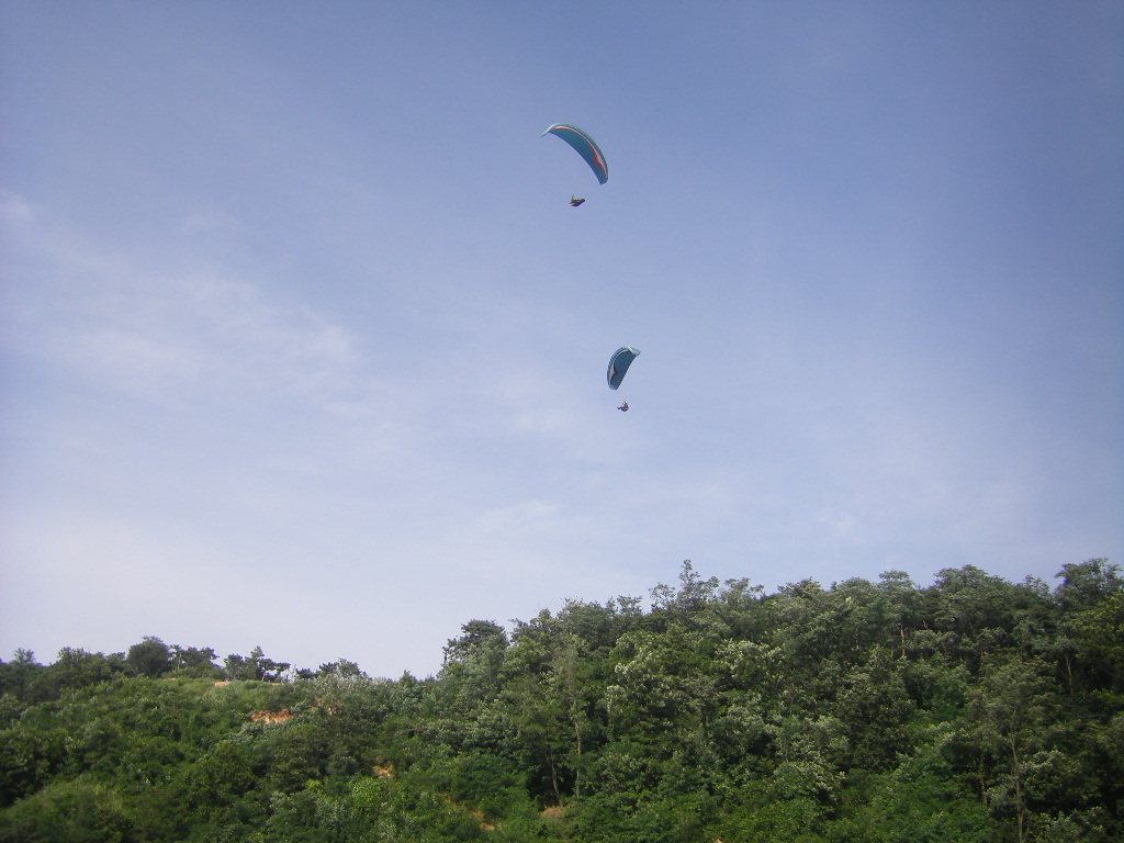 STH73891.JPG