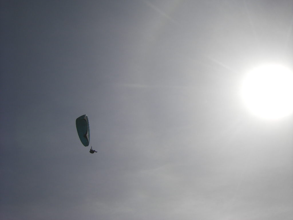 STH73886.JPG