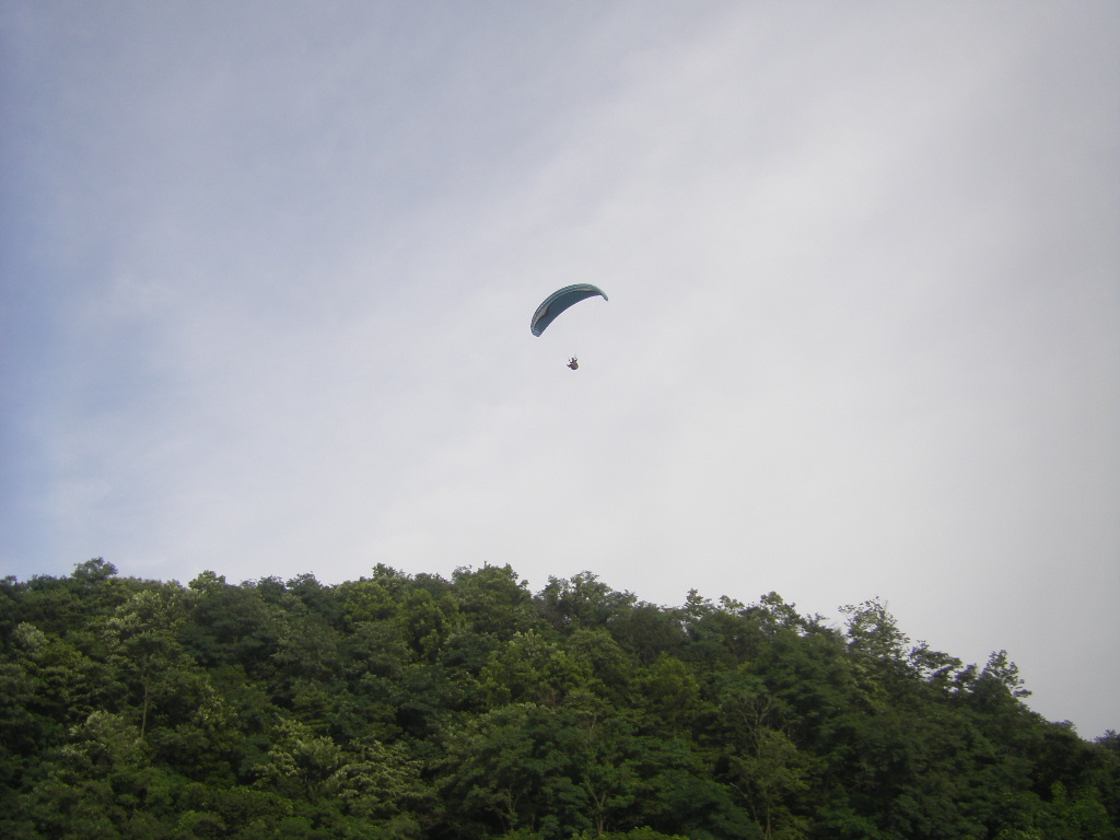 STH73893.JPG