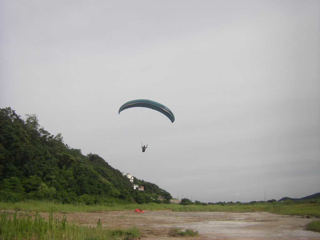 STH73895.JPG